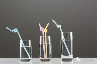 义乌文化用品协会参访双童 与楼仲平深度探讨企业品牌建设与工艺品推广传播