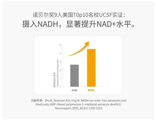 中秋送礼新风尚 NMN与NADH等科技健康产品走红的背后